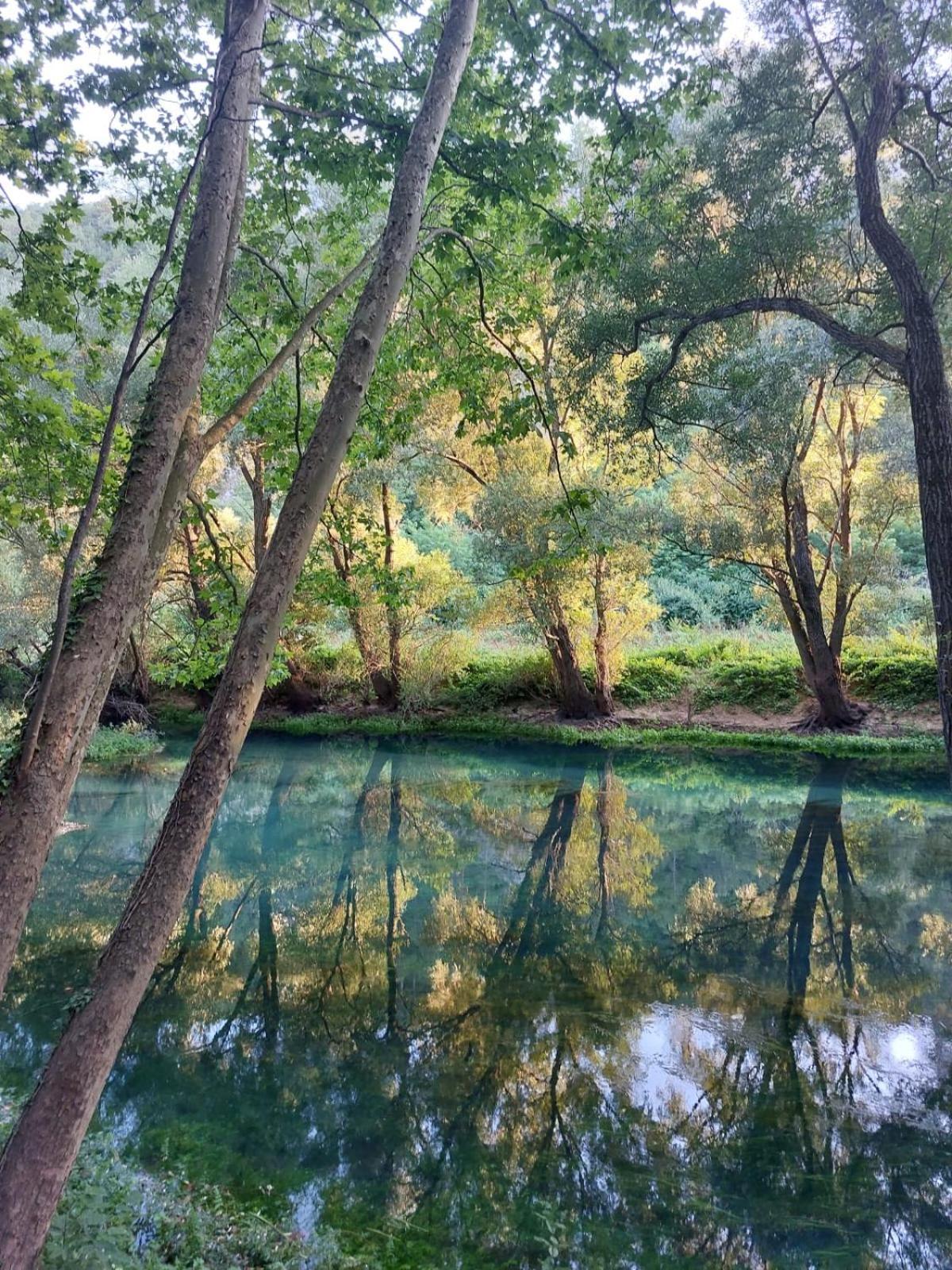 Chez Marthe, Organic Farm Stay Knin Kültér fotó