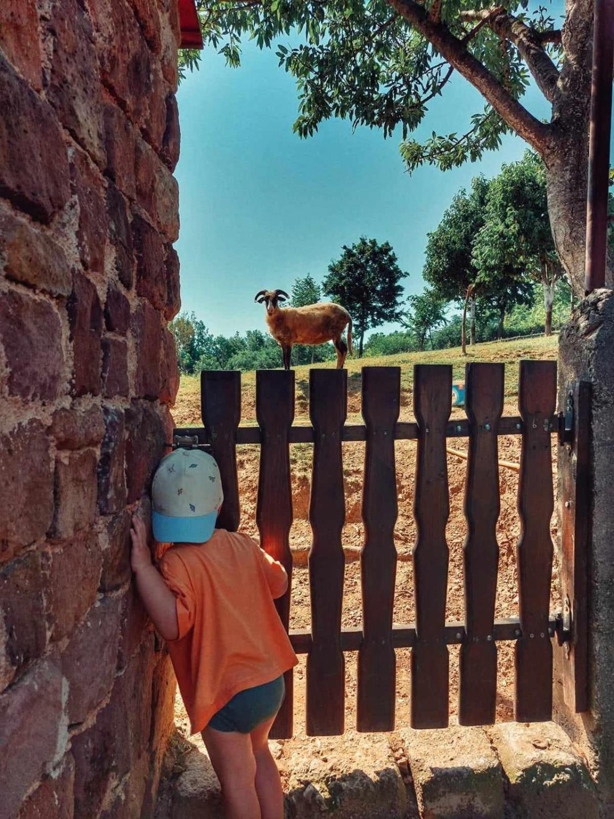 Chez Marthe, Organic Farm Stay Knin Kültér fotó